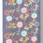 2012 ひかり　帯