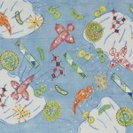 2013 プランクトン　帯地