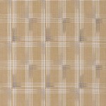 2010 金茶地吉野織着物　着物