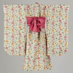 2010 波　からくさ　着物