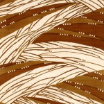 2007 深渓　300×110