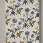 2008 ルリタマアザミ　250×81