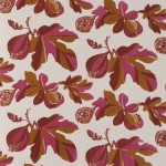 2011 無花果　３００×１１２．５