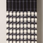 2013 ジャコビニ流星群　着物