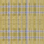 2007 しらはえ　着物