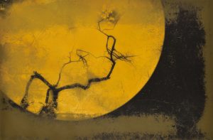 デジタルプリント（72.8 x 103cm）